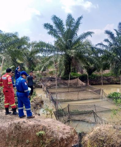 Medco E&P Grissik Dukung Budidaya Lele untuk Dorong Kemandirian Ekonomi Masyarakat