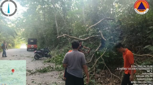 Aksi Gerak Cepat BPBD PALI Evakuasi Pohon Tumbang di Jalan Lintas Talang Ojan