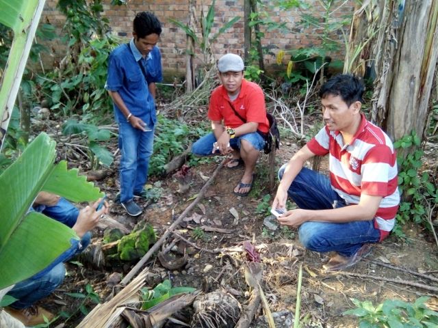 Bunga Bangkai Kembali Hebohkan Warga PALI