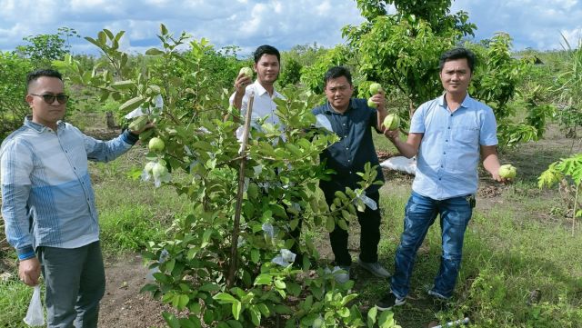 Asyiknya Kunjungi Agrowisata di PALI, Bisa Petik Buah Sendiri