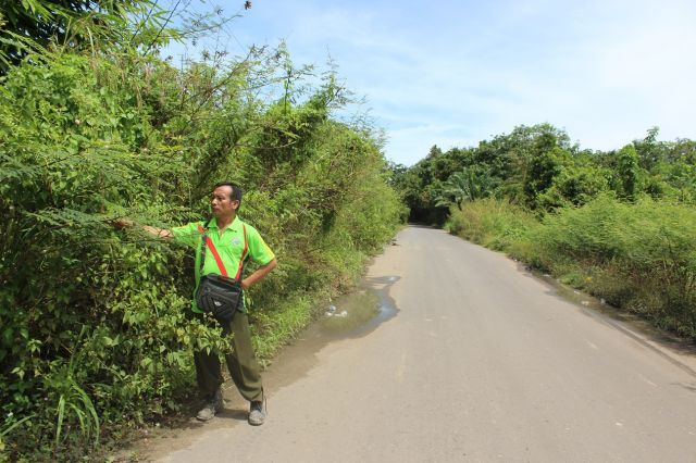 Sisi Jalan ditumbuhi Rumput Liar, Keselamatan Pengendara pun Terancam
