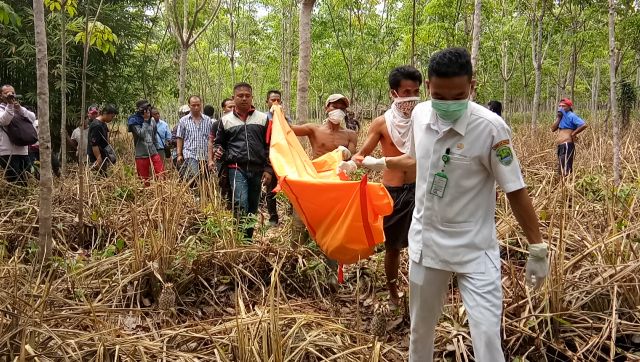 Heboh, Warga Temukan Mayat di Kebun