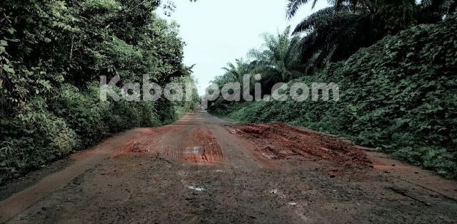 Idak Senonoh! Armada Logging Rusak Jalan, Lalu ditambal Pakai Tanah Liat
