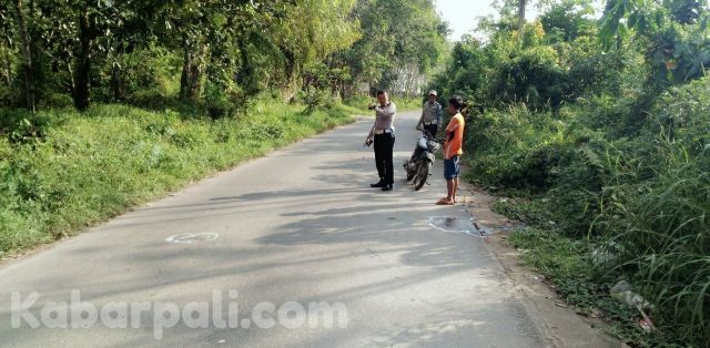 Truk Belum dikenal, Tabrak Lari di Purun-Betung