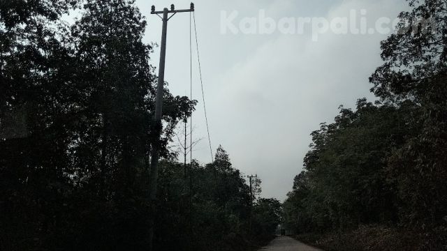 Kabel dicuri, PLN Rugi Hingga Rp500 Juta