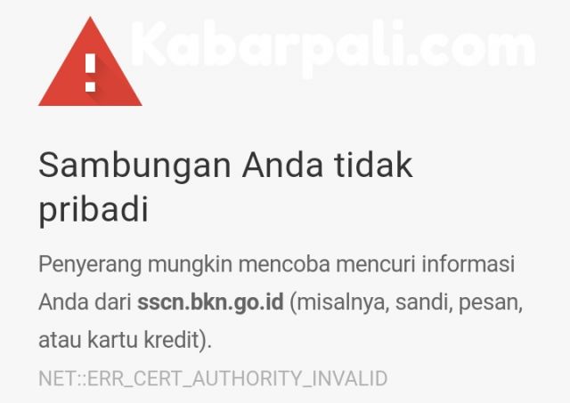 Hari ini Pendaftaran CPNS, Situsnya Justru Belum Bisa dibuka