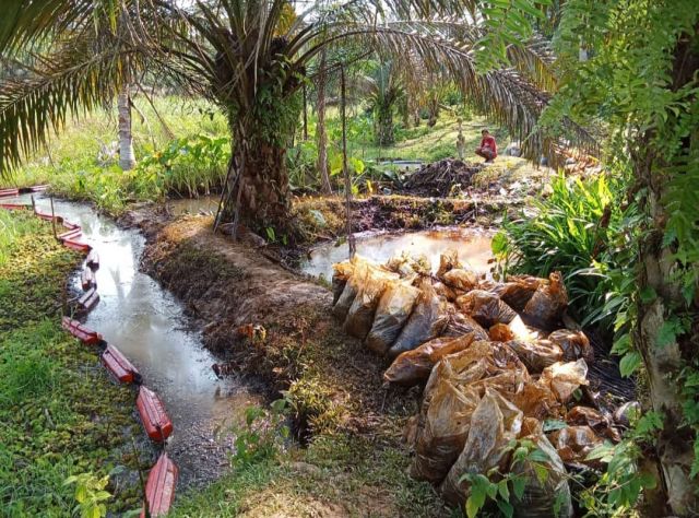 Penggantian Pipa Berujung Petaka. Minyak Mentah Cemari Sungai dan Lahan Warga