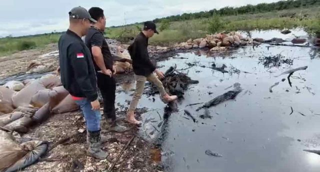 Jalan Kaki Berlumpur 4 KM, DPRD PALI Sidak Pipa Bocor PT Medco