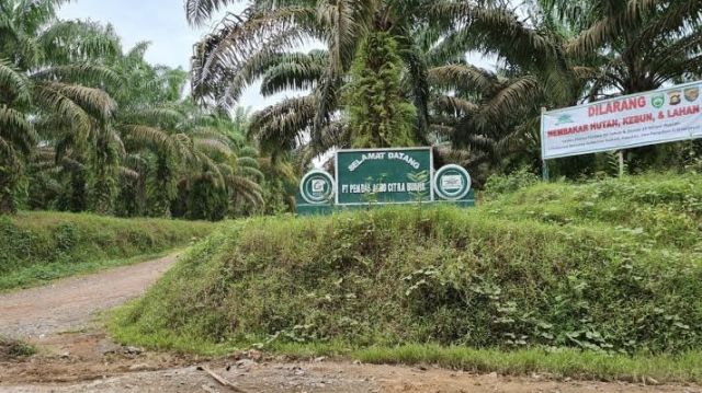 Bupati Asgianto Bawa Kabar Gembira: Lahan Sawit 401 Hektar di Simpang Raja Segera Resmi Milik PALI
