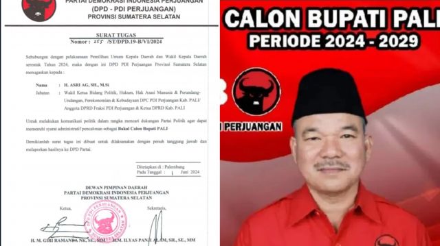 Ditugaskan Cari Partai Koalisi, Asri Berpotensi diusung PDIP?