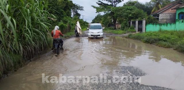 Ini Tiga Ruas Jalan Provinsi yang Rusak di PALI dan Tak Kunjung diperbaiki