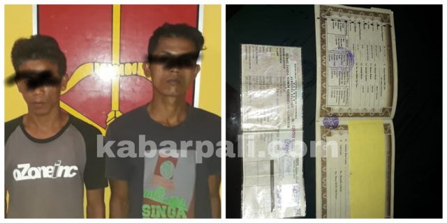 Pinjam Motor Lalu dijual, Pemuda ini diamankan Polisi