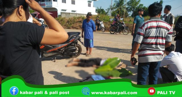 Hendak Fotocopy, TKS Dinkes Tewas dihantam Truk Plat Merah