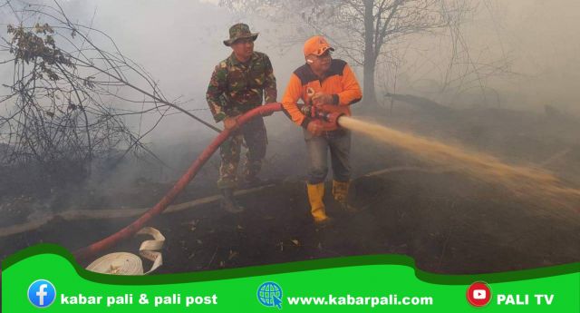 Kemarau, BPBD Siaga Antisipasi Karhutlah