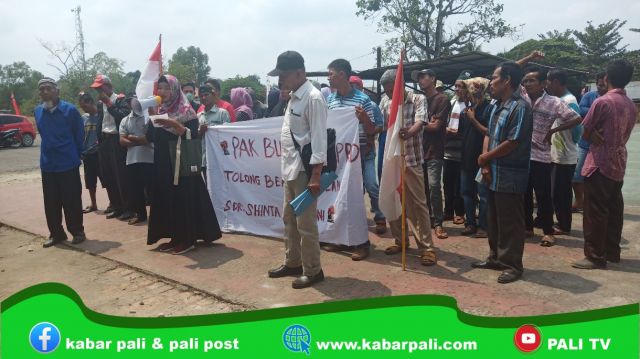 Minta Pilkades Sungai Baung ditunda, Warga Demo DPRD PALI