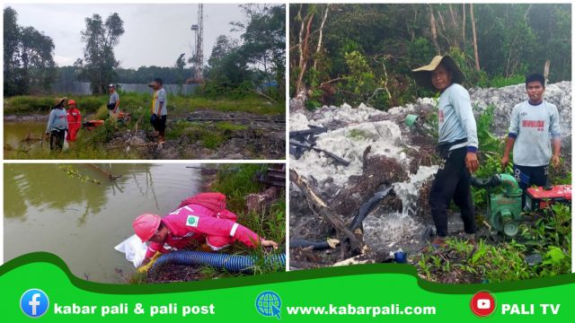 Kolam diduga Tercemar, Adera Field : Kita Tunggu Hasil Lab