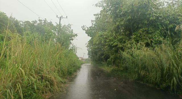 Jelang Lebaran, Tumbuhan Liar Persempit Jalan Lintas PALI – Sekayu