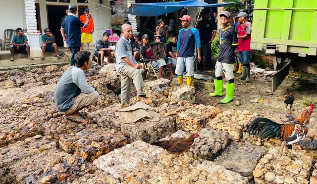 Ketika Getah Tak Lagi Menjanjikan, Petani Karet PALI Bertaruh Masa Depan