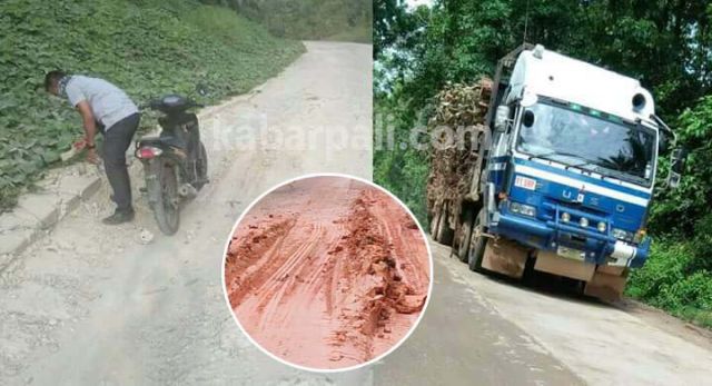 Jalan Simpang Raja ke Simpang Rasau -- Pemerintah Memperbaiki, Armada Logging Merusak