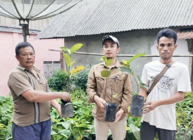 Adera Field Bantu 1000 Bibit Buah di WKP