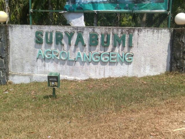 Dituding Lakukan Penyerobotan Lahan, PT Suryabumi Agrolanggeng bakal di demo Masyarakat