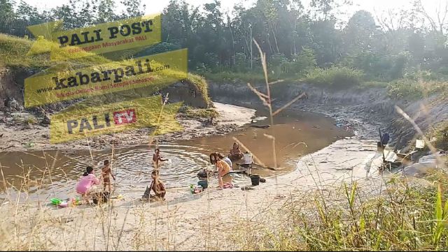 Dua Bulan Tak Hujan, Sebagut Nyaris Kering Kerontang