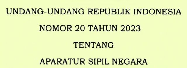 Selain Honorer Dihapus, Ini Isi UU ASN 2023 Terbaru 
